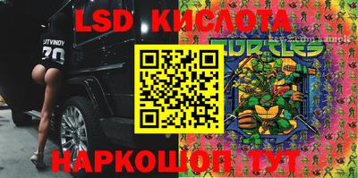 ешки Кингисепп