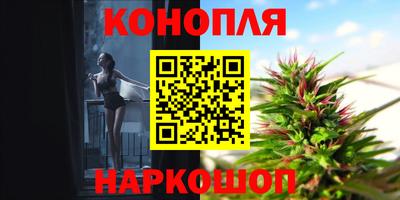 ешки Кингисепп