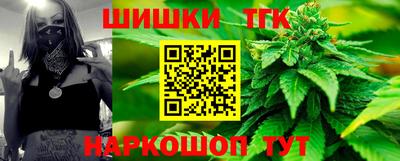 ешки Кингисепп