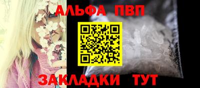 ешки Кингисепп