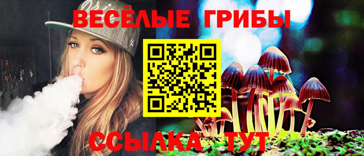 Псилоцибиновые грибы Psilocybe Кисловодск